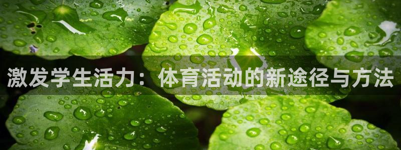 678体育官网下载：激发学生活力：体育活动的新途径与方法