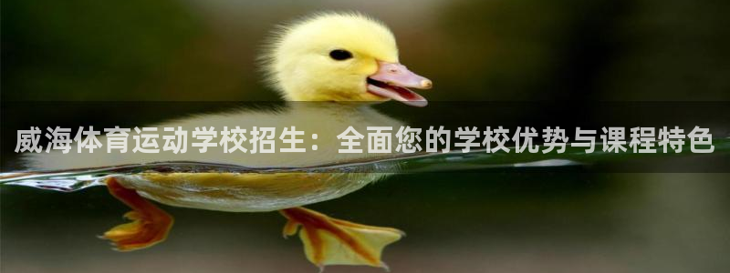 678体育知识：威海体育运动学校招生：全面您的学校优势与课程特色