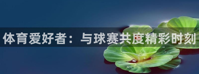 678体育：体育爱好者：与球赛共度精彩时刻