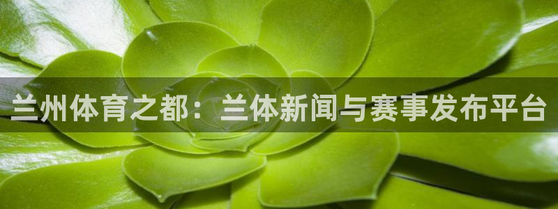 678体育：兰州体育之都：兰体新闻与赛事发布平台