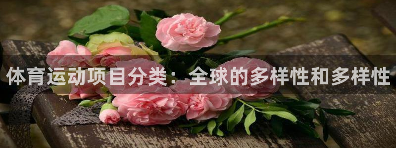 678体育官网：体育运动项目分类：全球的多样性和多样性