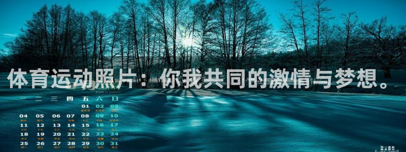 678体育官网：体育运动照片：你我共同的激情与梦想。