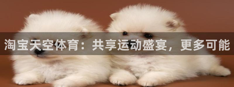 678体育：淘宝天空体育：共享运动盛宴，更多可能