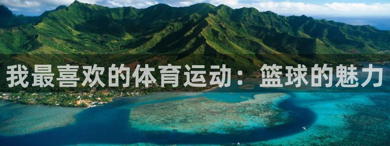 678体育：我最喜欢的体育运动：篮球的魅力